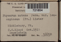 Physarum nutans image